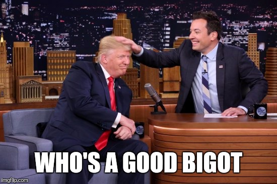 WHO'S A GOOD BIGOT | image tagged in trump | made w/ Imgflip meme maker