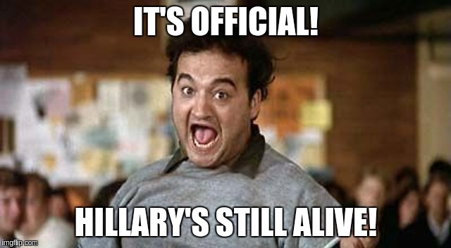 Its Official! | IT'S OFFICIAL! HILLARY'S STILL ALIVE! | image tagged in its official | made w/ Imgflip meme maker