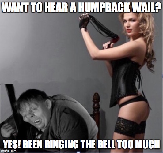 No Sanctuary | WANT TO HEAR A HUMPBACK WAIL? YES! BEEN RINGING THE BELL TOO MUCH | image tagged in quasimodo,whipped,punishment | made w/ Imgflip meme maker