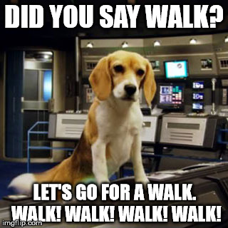 Go for a walk? Yes please! | DID YOU SAY WALK? LET'S GO FOR A WALK. WALK! WALK! WALK! WALK! | image tagged in captain archer's beagle porthos,star trek,star trek enterprise,sorry hokeewolf,my templates challenge | made w/ Imgflip meme maker