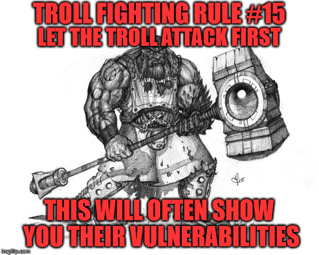 Troll Fighting Rule #15 | TROLL FIGHTING RULE #15; LET THE TROLL ATTACK FIRST; THIS WILL OFTEN SHOW YOU THEIR VULNERABILITIES | image tagged in troll smasher | made w/ Imgflip meme maker