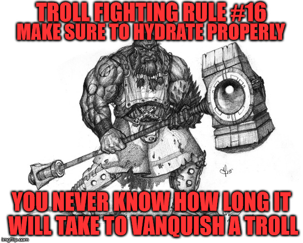 Troll Fighting Rule #16 | TROLL FIGHTING RULE #16; MAKE SURE TO HYDRATE PROPERLY; YOU NEVER KNOW HOW LONG IT WILL TAKE TO VANQUISH A TROLL | image tagged in troll smasher | made w/ Imgflip meme maker