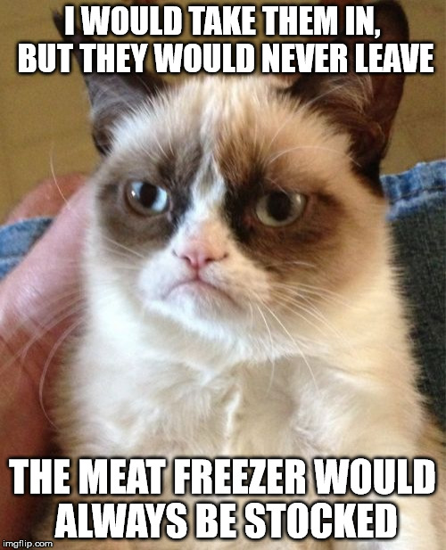 Grumpy Cat Meme | I WOULD TAKE THEM IN, BUT THEY WOULD NEVER LEAVE THE MEAT FREEZER WOULD ALWAYS BE STOCKED | image tagged in memes,grumpy cat | made w/ Imgflip meme maker