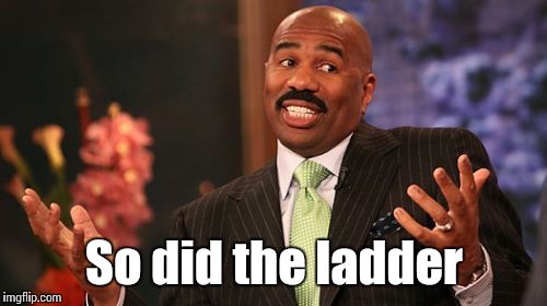 So did the ladder | image tagged in memes,steve harvey | made w/ Imgflip meme maker