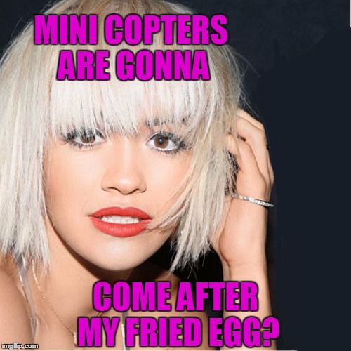 ditz | MINI COPTERS ARE GONNA COME AFTER MY FRIED EGG? | image tagged in ditz | made w/ Imgflip meme maker