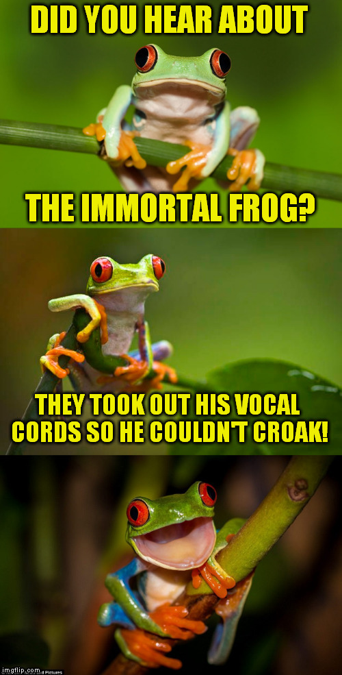 Frog Puns | DID YOU HEAR ABOUT; THE IMMORTAL FROG? THEY TOOK OUT HIS VOCAL CORDS SO HE COULDN'T CROAK! | image tagged in frog puns,funny meme,frogs,jokes,immortal,laughs | made w/ Imgflip meme maker