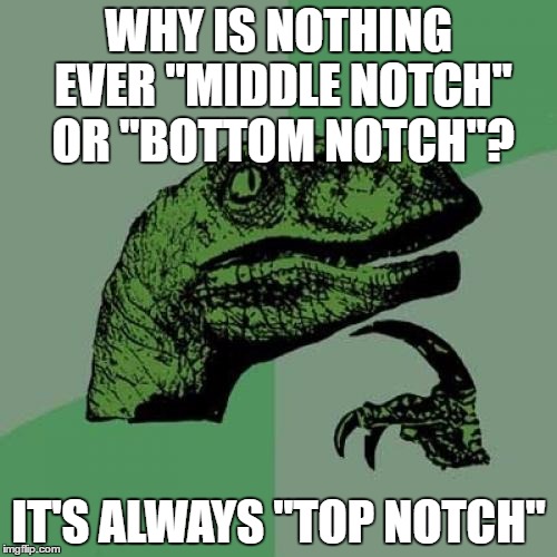 Other notches matter | WHY IS NOTHING EVER "MIDDLE NOTCH" OR "BOTTOM NOTCH"? IT'S ALWAYS "TOP NOTCH" | image tagged in memes,philosoraptor,sayings,top notch | made w/ Imgflip meme maker