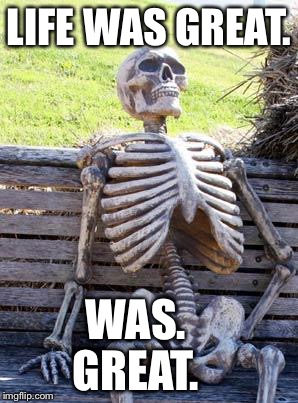 Waiting Skeleton | LIFE WAS GREAT. WAS.    GREAT. | image tagged in memes,waiting skeleton | made w/ Imgflip meme maker