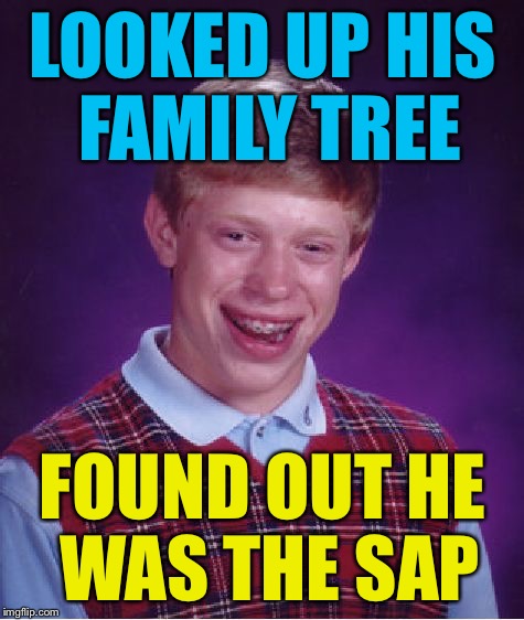 Bad Luck Brian Meme | LOOKED UP HIS FAMILY TREE; FOUND OUT HE WAS THE SAP | image tagged in memes,bad luck brian | made w/ Imgflip meme maker