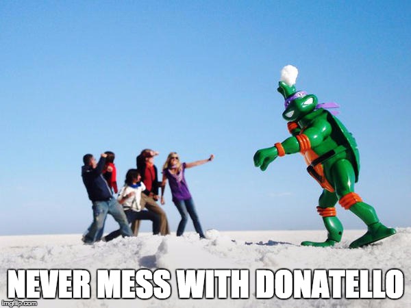 NEVER MESS WITH DONATELLO | image tagged in tmnt | made w/ Imgflip meme maker