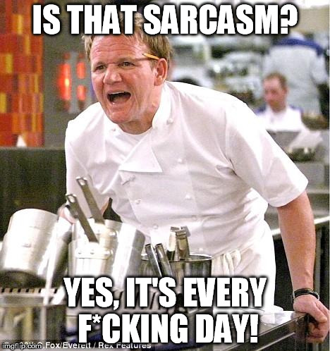 Chef Gordon Ramsay Meme | IS THAT SARCASM? YES, IT'S EVERY F*CKING DAY! | image tagged in memes,chef gordon ramsay | made w/ Imgflip meme maker