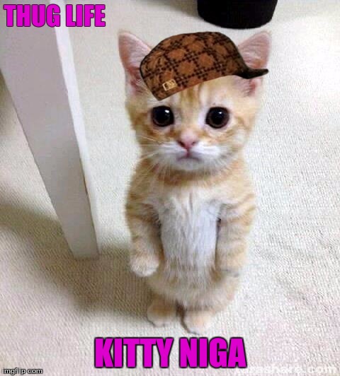 Cute Cat Meme | THUG
LIFE; KITTY NIGA | image tagged in memes,cute cat,scumbag | made w/ Imgflip meme maker