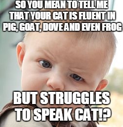 Yes, Yes I Do | SO YOU MEAN TO TELL ME THAT YOUR CAT IS FLUENT IN PIG, GOAT, DOVE AND EVEN FROG; BUT STRUGGLES TO SPEAK CAT!? | image tagged in memes,skeptical baby,cats | made w/ Imgflip meme maker