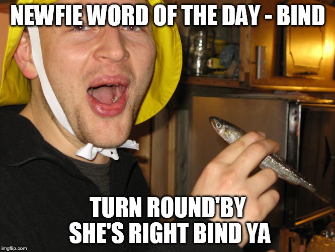 Newfie Word of the Day | NEWFIE WORD OF THE DAY - BIND; TURN ROUND'BY SHE'S RIGHT BIND YA | image tagged in newfie,word,day,newfoundland,funny | made w/ Imgflip meme maker