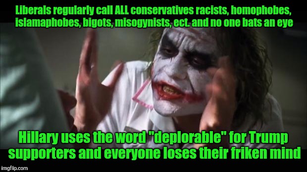 What did you expect? | Liberals regularly call ALL conservatives racists, homophobes, islamaphobes, bigots, misogynists, ect. and no one bats an eye; Hillary uses the word "deplorable" for Trump supporters and everyone loses their friken mind | image tagged in memes,and everybody loses their minds | made w/ Imgflip meme maker