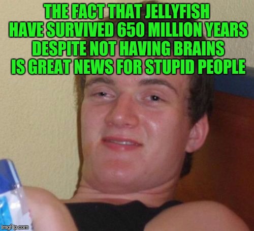10 Guy | THE FACT THAT JELLYFISH HAVE SURVIVED 650 MILLION YEARS DESPITE NOT HAVING BRAINS IS GREAT NEWS FOR STUPID PEOPLE | image tagged in memes,10 guy | made w/ Imgflip meme maker