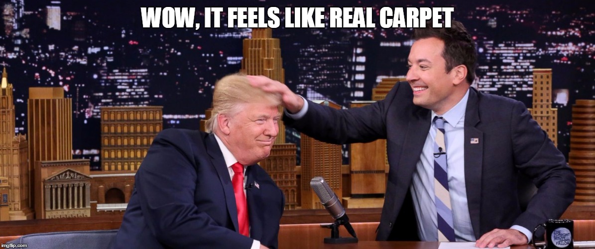 Jimmy Fallon feeling Trump's hair | WOW, IT FEELS LIKE REAL CARPET | image tagged in jimmy fallon feeling trump's hair | made w/ Imgflip meme maker