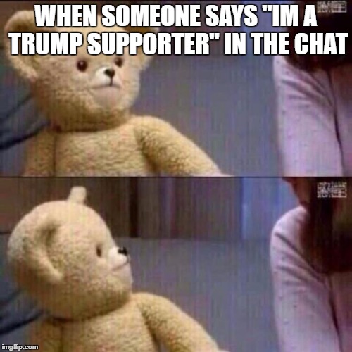 shocked bear | WHEN SOMEONE SAYS "IM A TRUMP SUPPORTER" IN THE CHAT | image tagged in shocked bear | made w/ Imgflip meme maker
