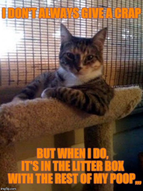 The Most Interesting Cat In The World Meme | I DON'T ALWAYS GIVE A CRAP; BUT WHEN I DO,     IT'S IN THE LITTER BOX    WITH THE REST OF MY POOP,,, | image tagged in memes,the most interesting cat in the world | made w/ Imgflip meme maker