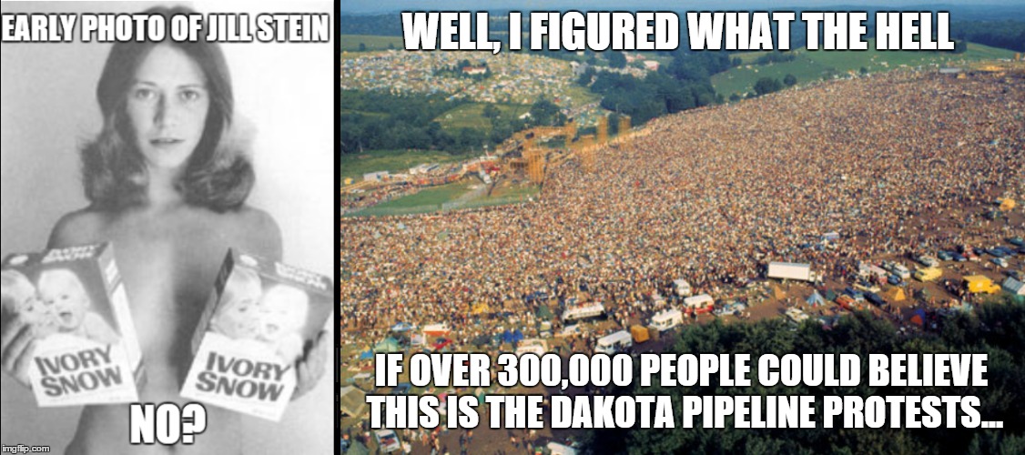 Baaaa.... Baaaaa.... | WELL, I FIGURED WHAT THE HELL; IF OVER 300,000 PEOPLE COULD BELIEVE THIS IS THE DAKOTA PIPELINE PROTESTS... | image tagged in woodstock,marilyn chambers,jill stein | made w/ Imgflip meme maker