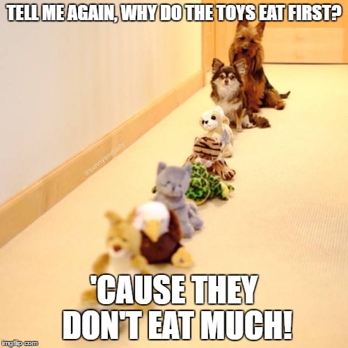    Every day for 4 years! | TELL ME AGAIN, WHY DO THE TOYS EAT FIRST? 'CAUSE THEY DON'T EAT MUCH! | image tagged in patient | made w/ Imgflip meme maker