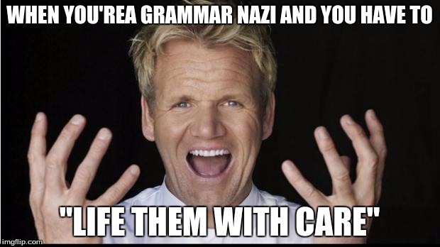 Gordon Ramsey Yelling | WHEN YOU'REA GRAMMAR NAZI AND YOU HAVE TO; "LIFE THEM WITH CARE" | image tagged in gordon ramsey yelling | made w/ Imgflip meme maker