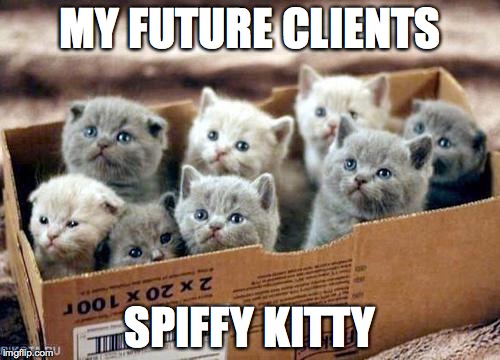 box of cats | MY FUTURE CLIENTS; SPIFFY KITTY | image tagged in box of cats | made w/ Imgflip meme maker