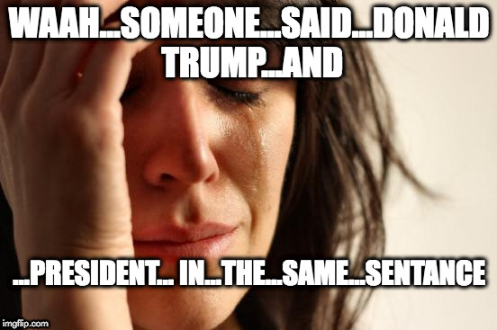 First World Problems Meme | WAAH...SOMEONE...SAID...DONALD TRUMP...AND; ...PRESIDENT... IN...THE...SAME...SENTANCE | image tagged in memes,first world problems | made w/ Imgflip meme maker