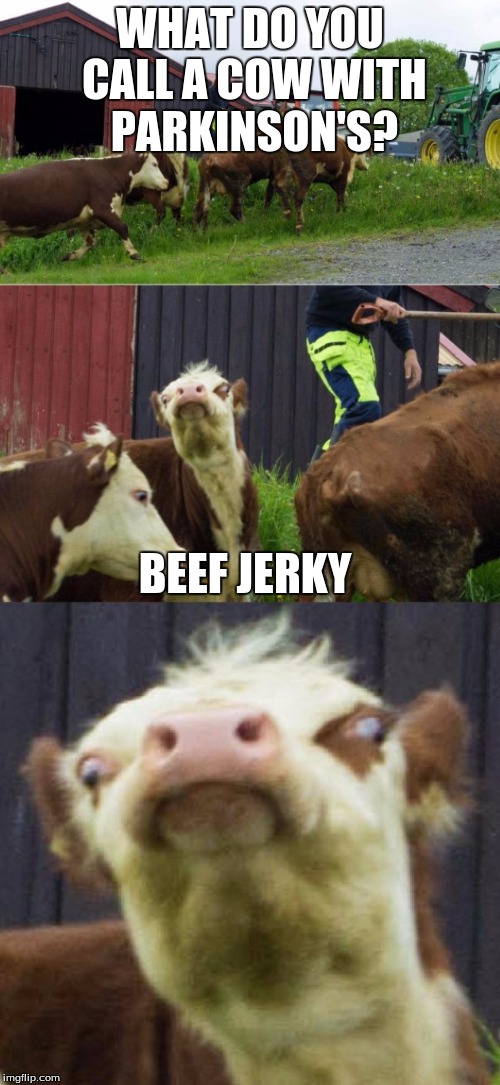 Hehehe. . . But don't take offense. | WHAT DO YOU CALL A COW WITH PARKINSON'S? BEEF JERKY | image tagged in bad pun cow | made w/ Imgflip meme maker