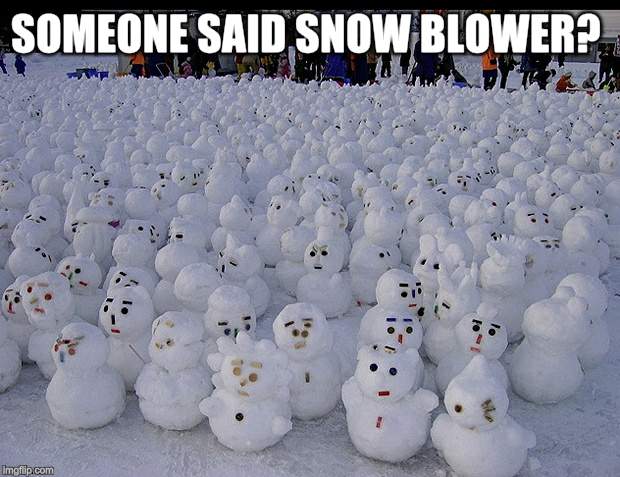 SOMEONE SAID SNOW BLOWER? | made w/ Imgflip meme maker