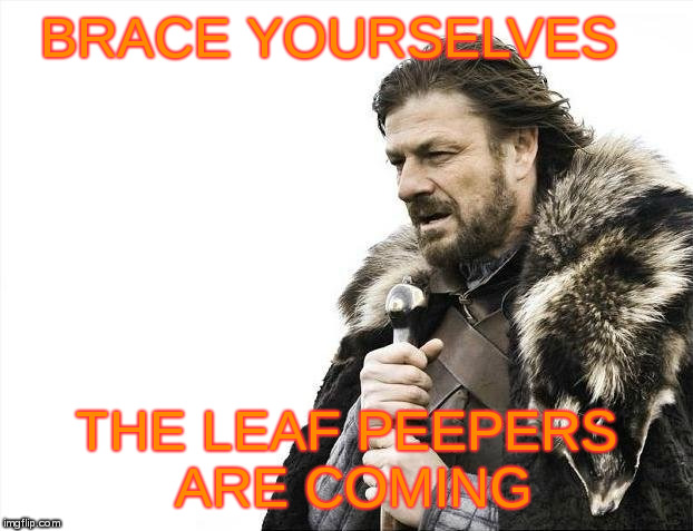 Fall Foliage | BRACE YOURSELVES; THE LEAF PEEPERS ARE COMING | image tagged in memes,brace yourselves x is coming | made w/ Imgflip meme maker