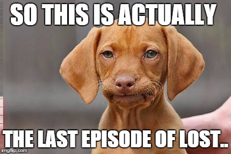 Dissapointed puppy | SO THIS IS ACTUALLY; THE LAST EPISODE OF LOST.. | image tagged in dissapointed puppy | made w/ Imgflip meme maker