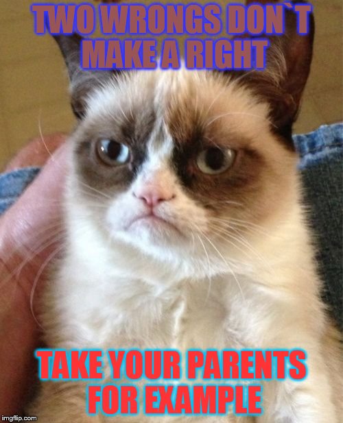 Grumpy Cat |  TWO WRONGS DON`T MAKE A RIGHT; TAKE YOUR PARENTS FOR EXAMPLE | image tagged in memes,grumpy cat | made w/ Imgflip meme maker