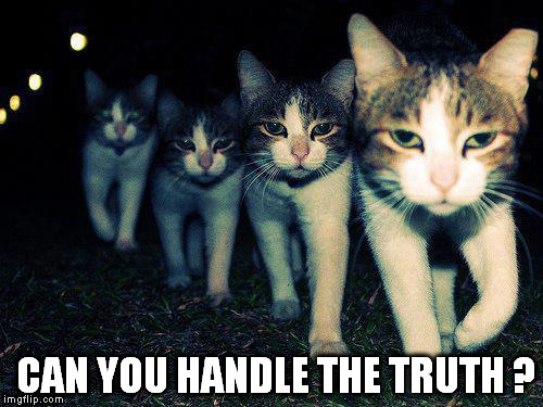 Wrong Neighboorhood Cats | CAN YOU HANDLE THE TRUTH ? | image tagged in memes,wrong neighboorhood cats | made w/ Imgflip meme maker