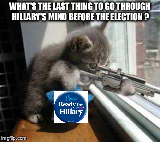 CatSniper | WHAT'S THE LAST THING TO GO THROUGH HILLARY'S MIND BEFORE THE ELECTION ? | image tagged in catsniper | made w/ Imgflip meme maker