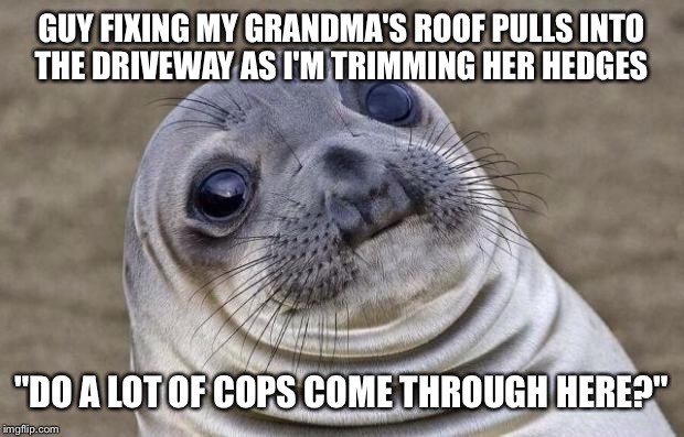 Awkward Moment Sealion Meme | GUY FIXING MY GRANDMA'S ROOF PULLS INTO THE DRIVEWAY AS I'M TRIMMING HER HEDGES; "DO A LOT OF COPS COME THROUGH HERE?" | image tagged in memes,awkward moment sealion | made w/ Imgflip meme maker
