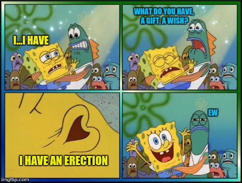 Sponge Bob Breaks Pants | WHAT DO YOU HAVE, A GIFT, A WISH? I...I HAVE; EW; I HAVE AN ERECTION | image tagged in sponge bob breaks pants | made w/ Imgflip meme maker