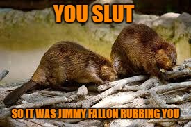 YOU S**T SO IT WAS JIMMY FALLON RUBBING YOU | made w/ Imgflip meme maker