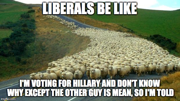 sheep | LIBERALS BE LIKE; I'M VOTING FOR HILLARY AND DON'T KNOW WHY EXCEPT THE OTHER GUY IS MEAN, SO I'M TOLD | image tagged in sheep | made w/ Imgflip meme maker