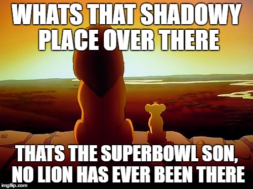 Lion King |  WHATS THAT SHADOWY PLACE OVER THERE; THATS THE SUPERBOWL SON, NO LION HAS EVER BEEN THERE | image tagged in memes,lion king | made w/ Imgflip meme maker