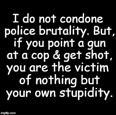 Blank | I do not condone police brutality. But, if you point a gun at a cop & get shot, you are the victim of nothing but your own stupidity. | image tagged in blank | made w/ Imgflip meme maker