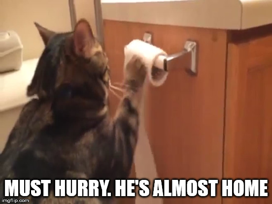 MUST HURRY. HE'S ALMOST HOME | made w/ Imgflip meme maker