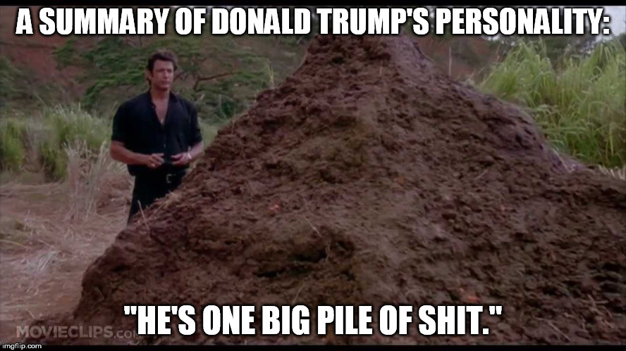 A SUMMARY OF DONALD TRUMP'S PERSONALITY: "HE'S ONE BIG PILE OF SHIT." | made w/ Imgflip meme maker