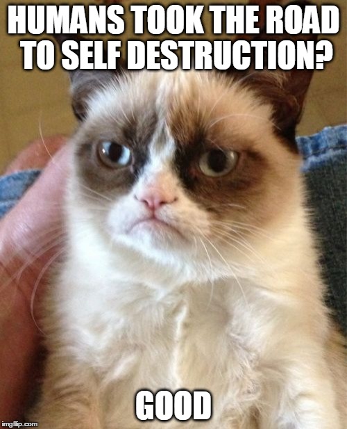 Grumpy Cat Meme | HUMANS TOOK THE ROAD TO SELF DESTRUCTION? GOOD | image tagged in memes,grumpy cat | made w/ Imgflip meme maker