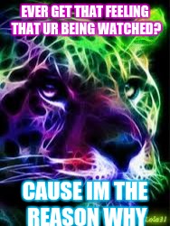 EVER GET THAT FEELING THAT UR BEING WATCHED? CAUSE IM THE REASON WHY | image tagged in funny,meme,jaguar | made w/ Imgflip meme maker