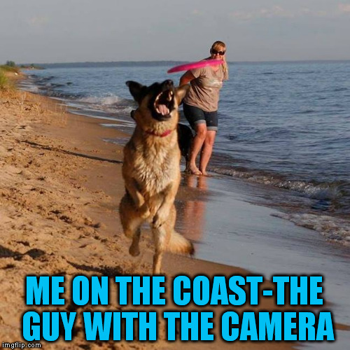 ME ON THE COAST-THE GUY WITH THE CAMERA | made w/ Imgflip meme maker