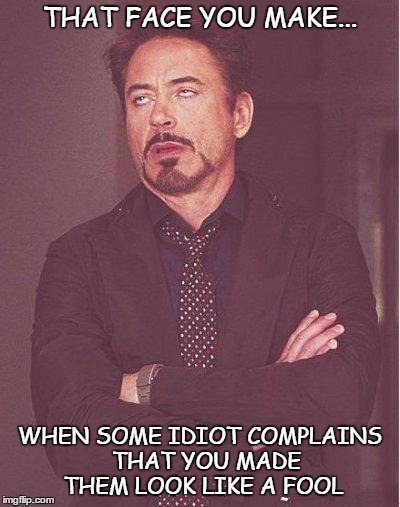 robert downey jr | THAT FACE YOU MAKE... WHEN SOME IDIOT COMPLAINS 
THAT YOU MADE THEM
LOOK LIKE A FOOL | image tagged in robert downey jr | made w/ Imgflip meme maker