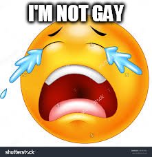 I'm not gay | I'M NOT GAY | image tagged in smiley | made w/ Imgflip meme maker