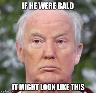 IF HE WERE BALD IT MIGHT LOOK LIKE THIS | made w/ Imgflip meme maker
