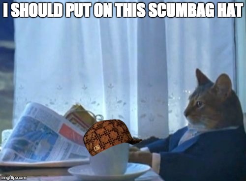 I Should Buy A Boat Cat | I SHOULD PUT ON THIS SCUMBAG HAT | image tagged in memes,i should buy a boat cat,scumbag | made w/ Imgflip meme maker